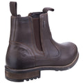 Cotswold Worcester Leather Men's Brown Boots